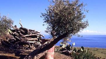 Les paysages de Stromboli